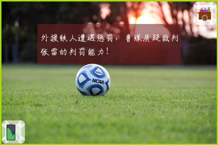 外援铁人遭遇惩罚，鲁媒质疑裁判张雷的判罚能力！