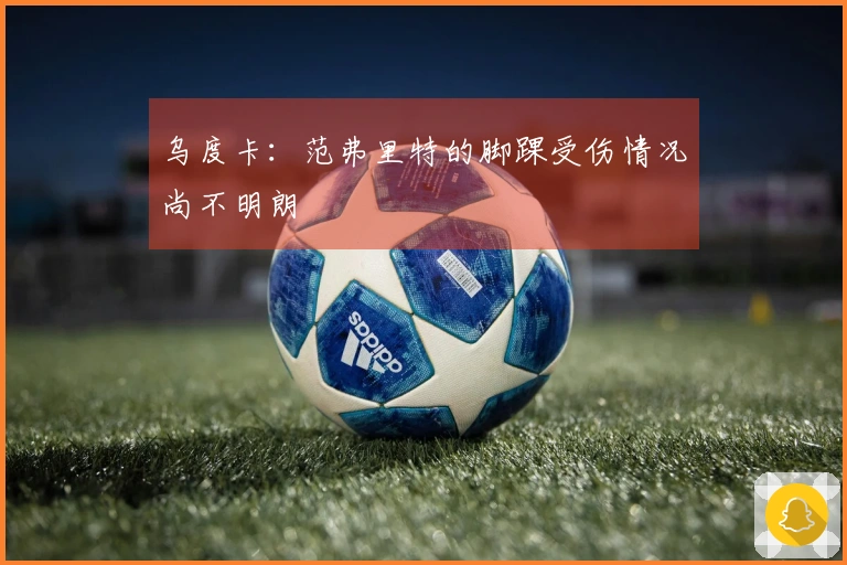 乌度卡：范弗里特的脚踝受伤情况尚不明朗
