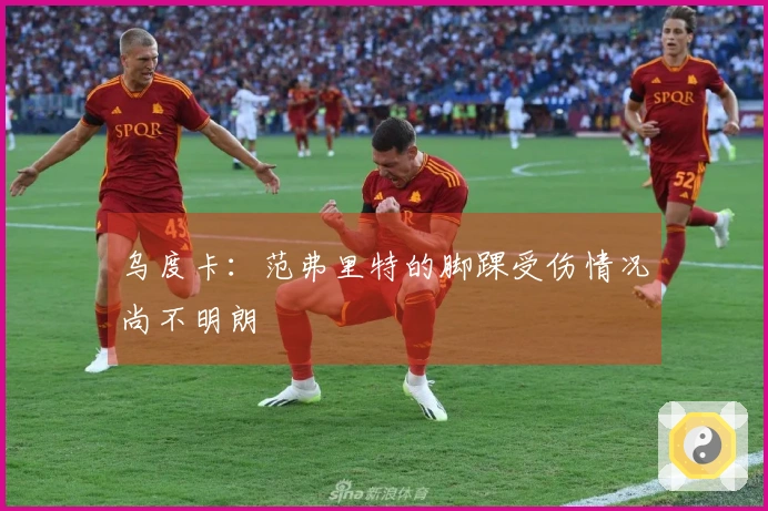 乌度卡：范弗里特的脚踝受伤情况尚不明朗