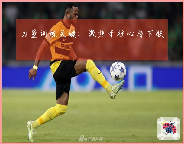 力量训练关键：聚焦于核心与下肢